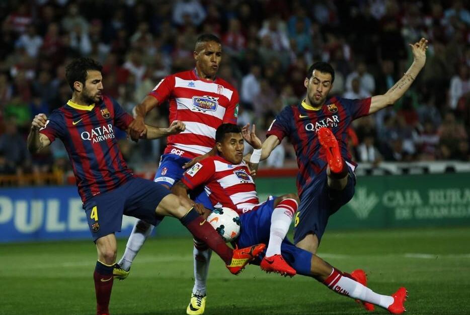 系列荣誉 系列荣誉