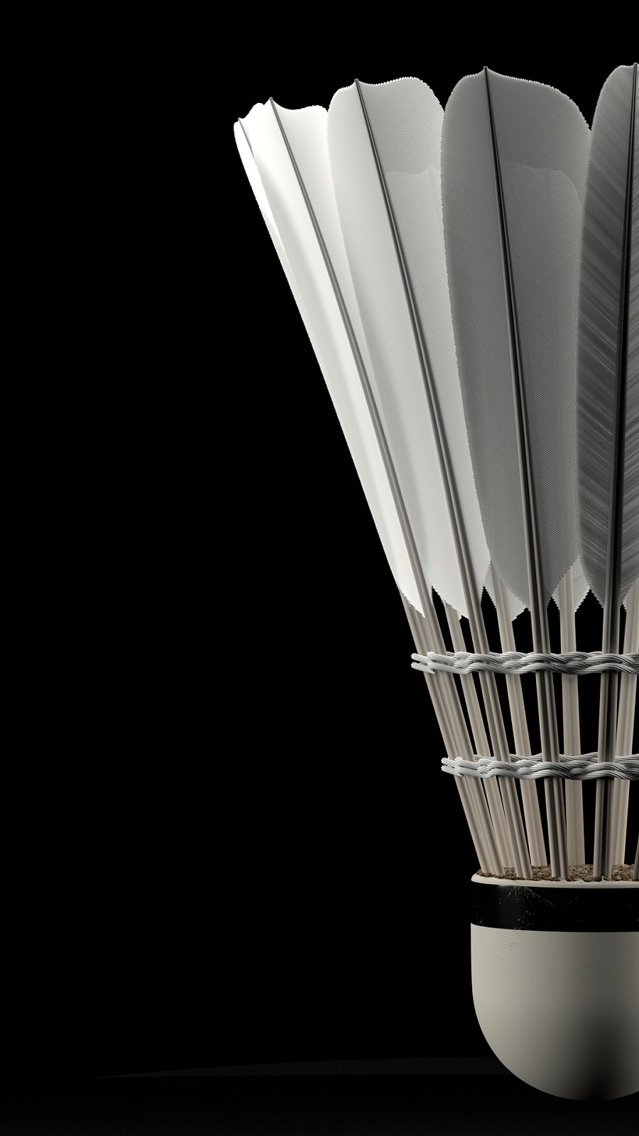 选手的斗志 选手的斗志