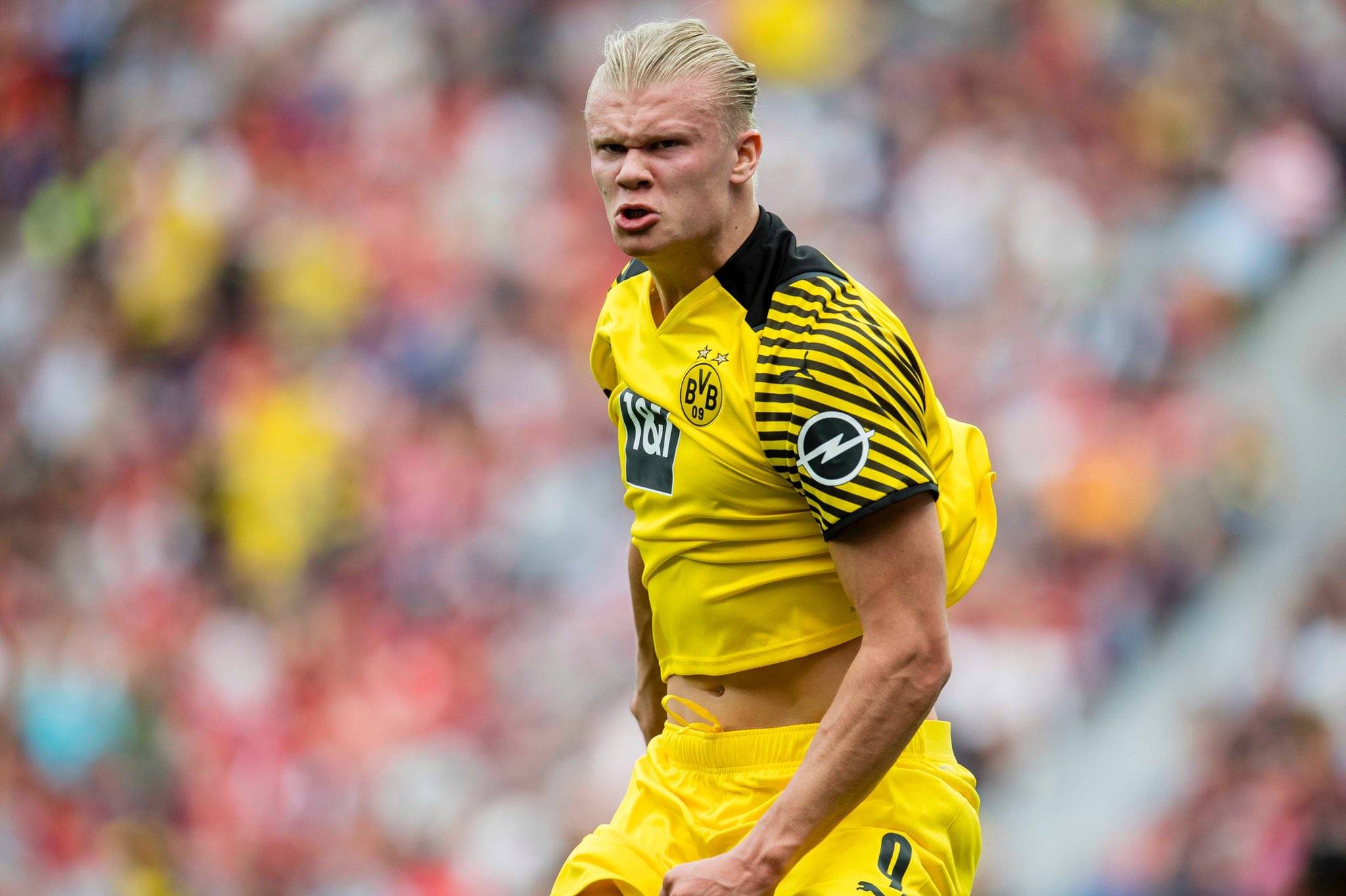 倾向以交易 倾向以交易