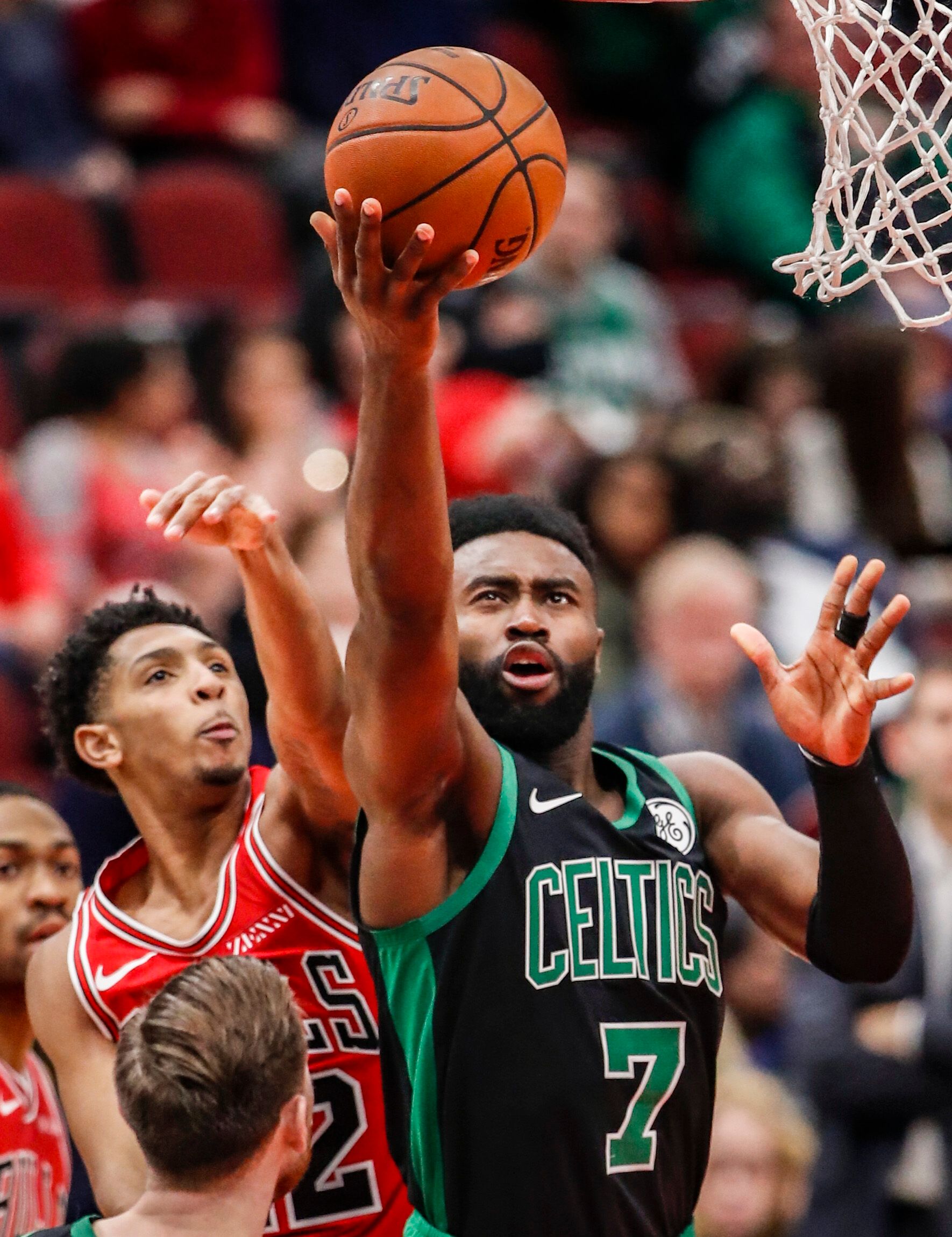 二号种子 二号种子